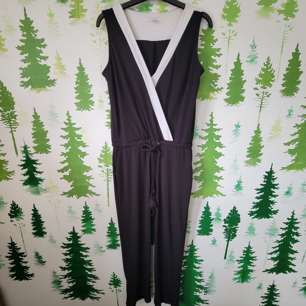 New York & Company Sleeveless Jumpsuit.